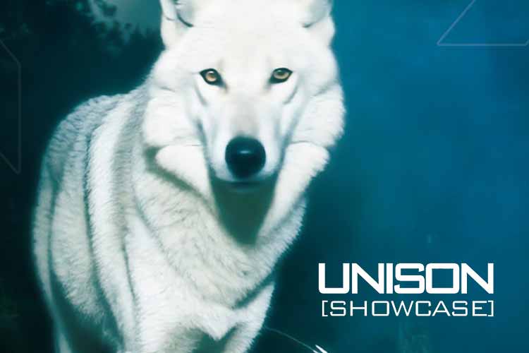 Unison - Jimmy Jazz KLUB